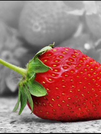 Single Strawberry - A3/A4 Picture - Glossy/Matte - Wall Art Decor