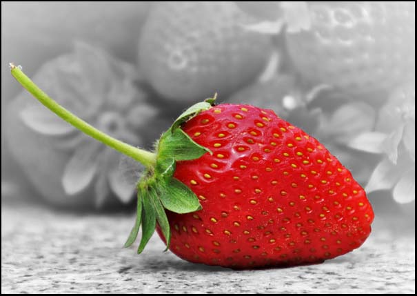 Single Strawberry - A3/A4 Picture - Glossy/Matte - Wall Art Decor